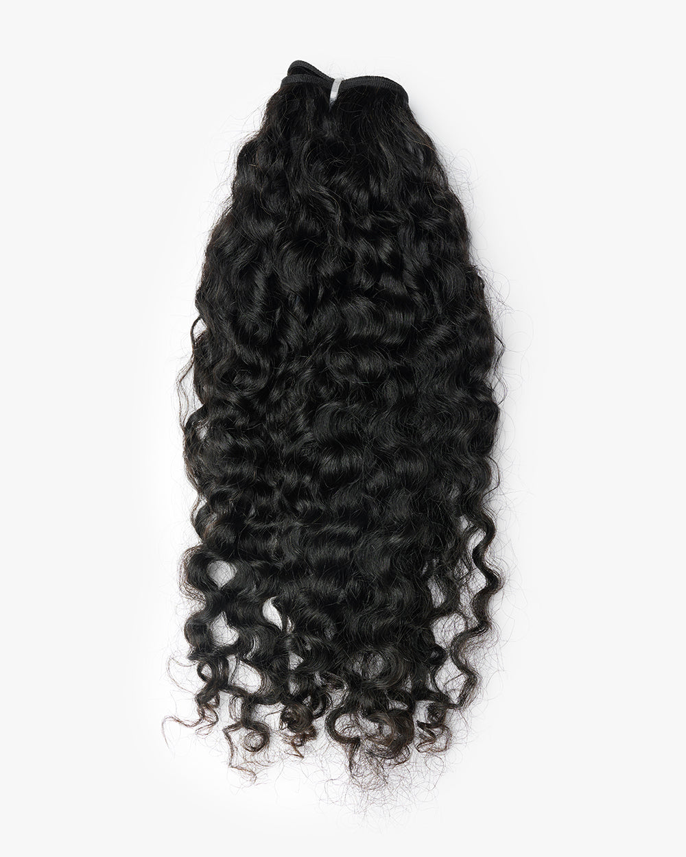 Burmese Curly