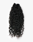 Burmese Curly