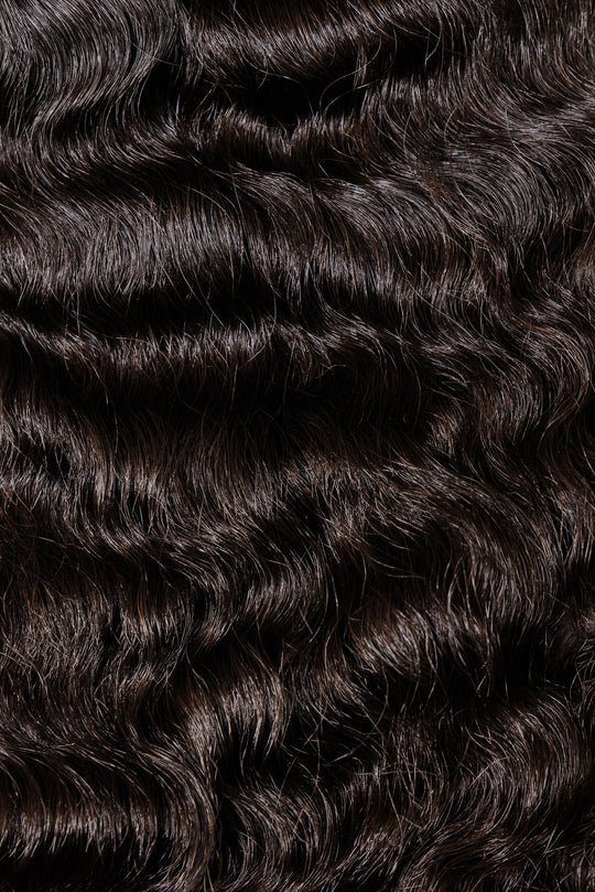 Burmese Curly
